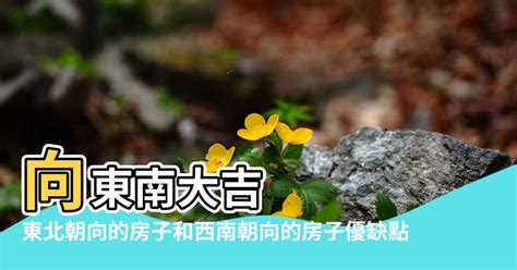 房子面東北|【面東北】面東北的房子風水：揭開住宅風水奧秘，好運連連！ –